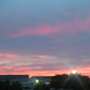 Meet your Posher, Daisy